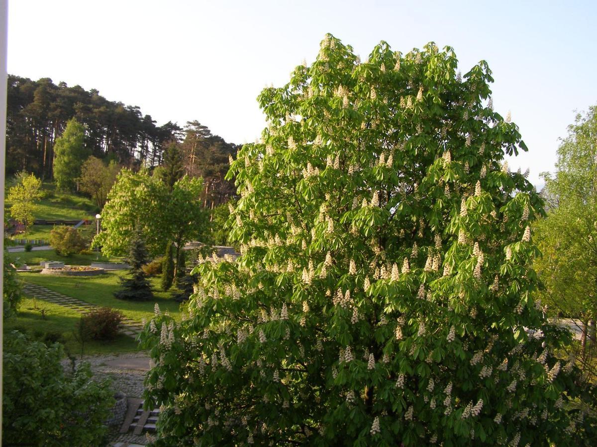 Belogradchik View Apartment エクステリア 写真